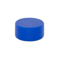 Neodymium Disc Magnet 12.7mm x 6.35mm | TPR Coated - BLUE| Push Pin Magnet